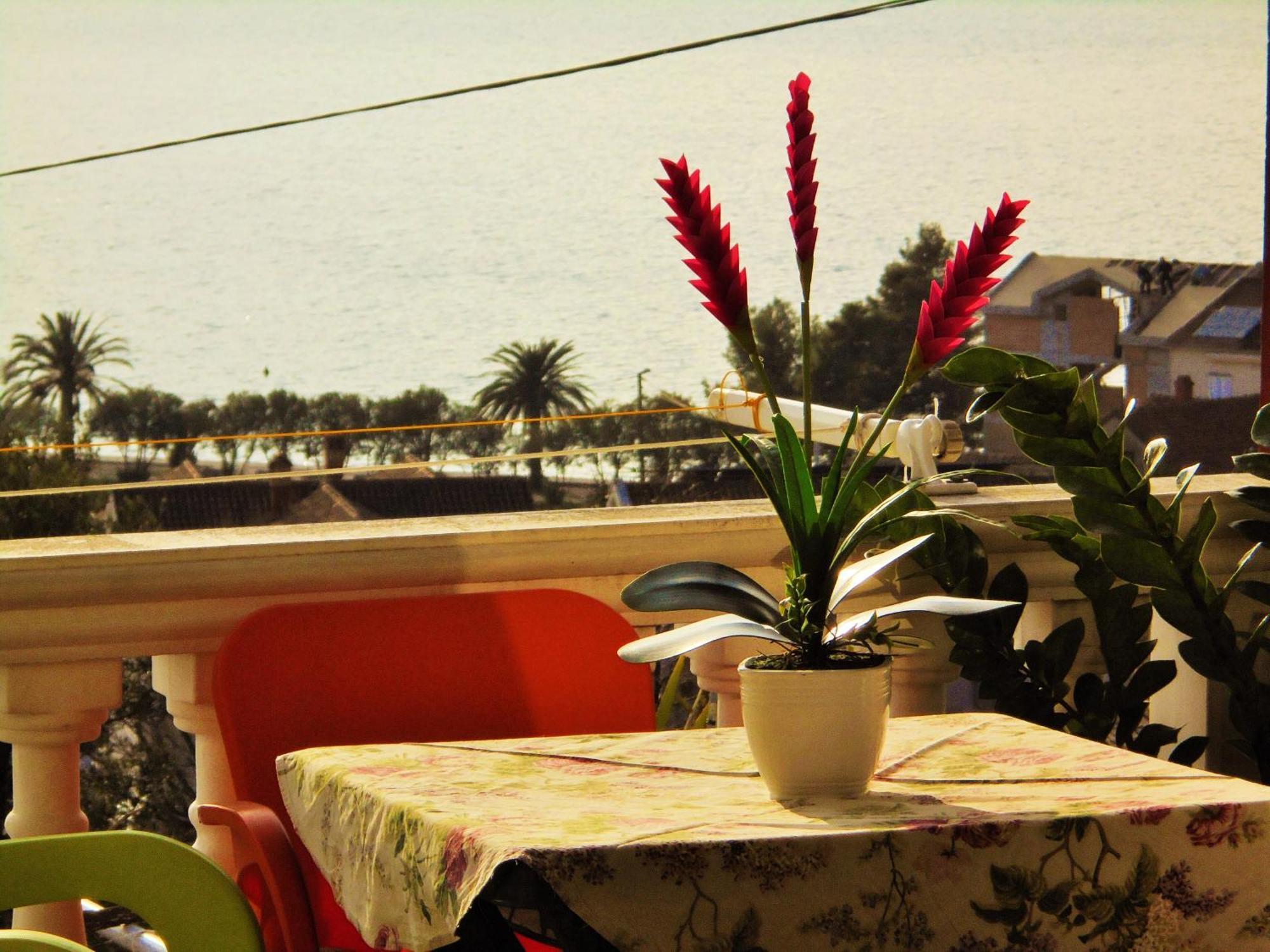 Villa Lastva Apartments Tivat Ngoại thất bức ảnh