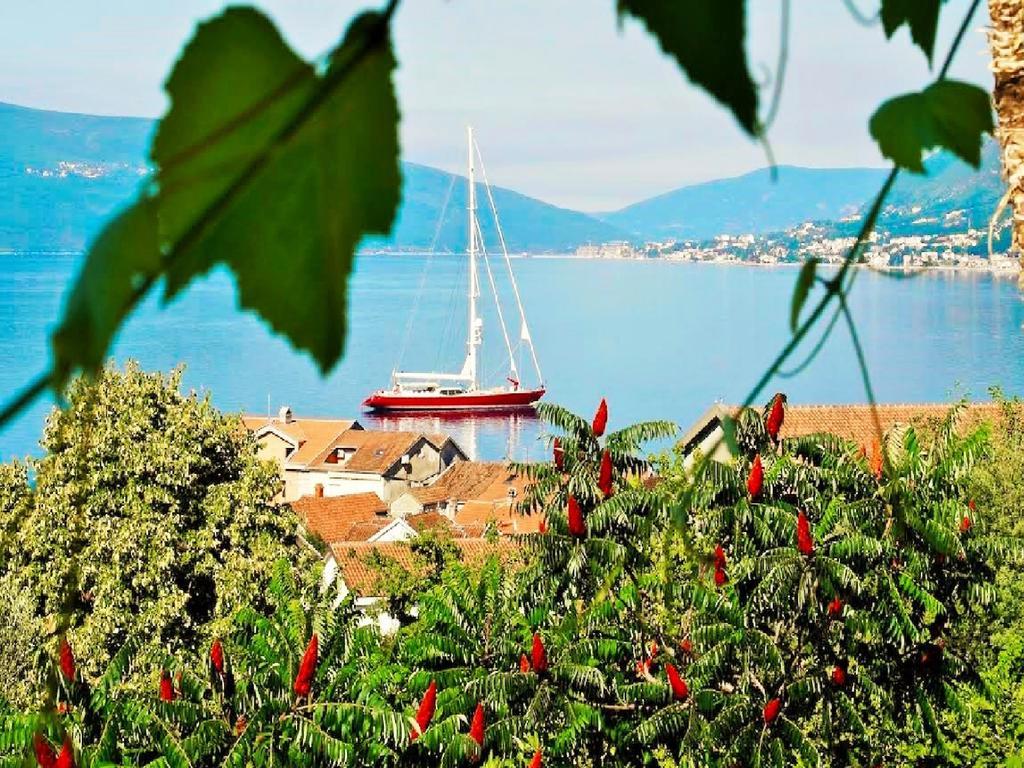Villa Lastva Apartments Tivat Ngoại thất bức ảnh